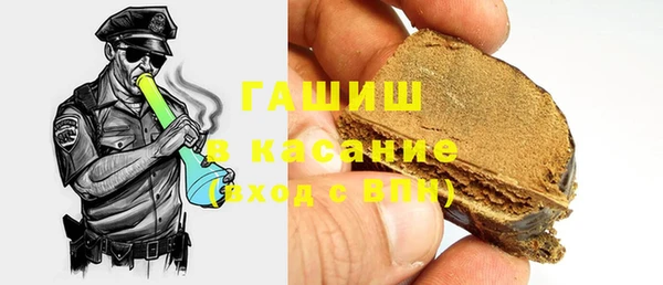 прущие грибы Белокуриха