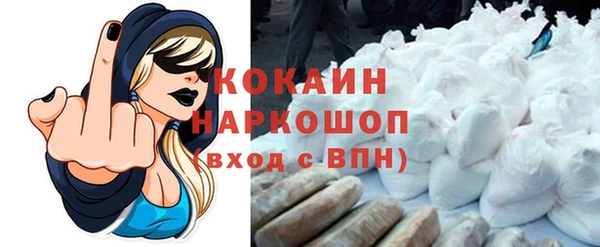 прущие грибы Белокуриха