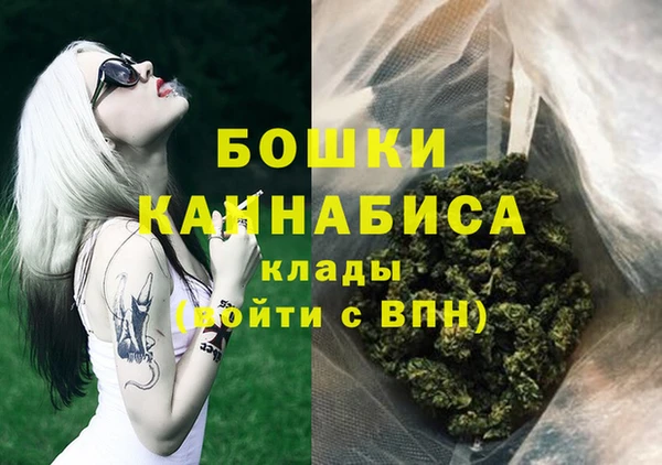 прущие грибы Белокуриха