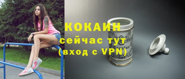 прущие грибы Белокуриха