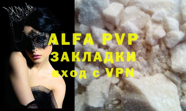 прущие грибы Белокуриха